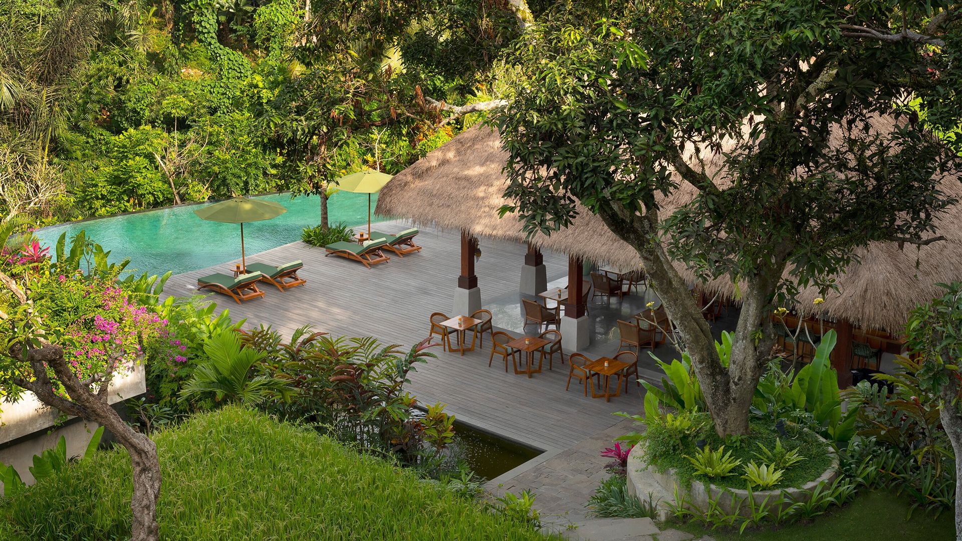 Island Hotel